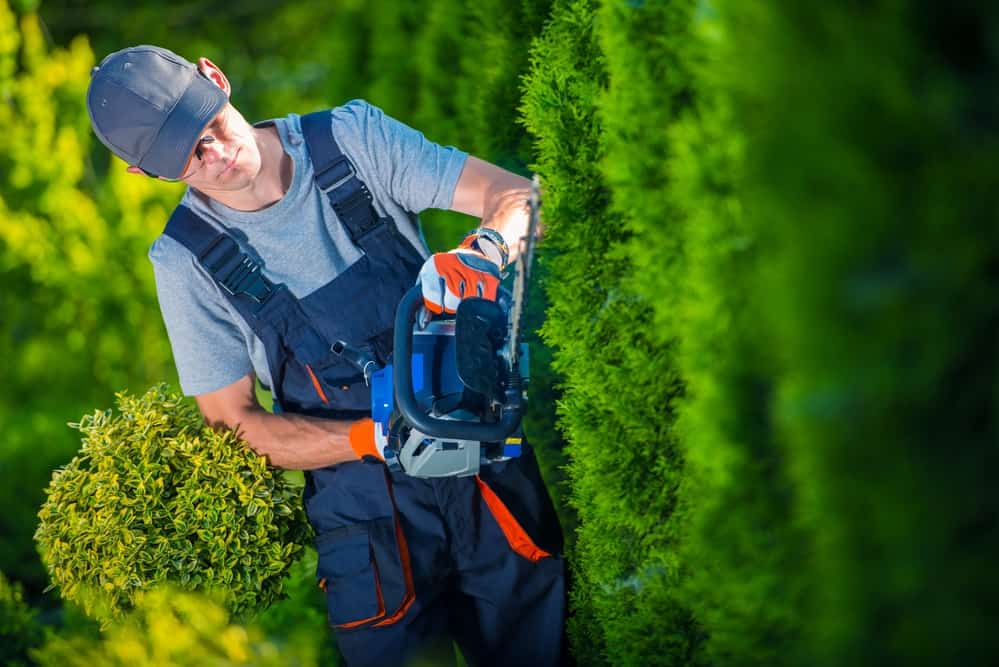 Hedge Trimmer Australia