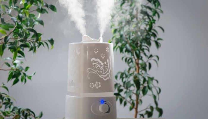 Best Air Humidifiers