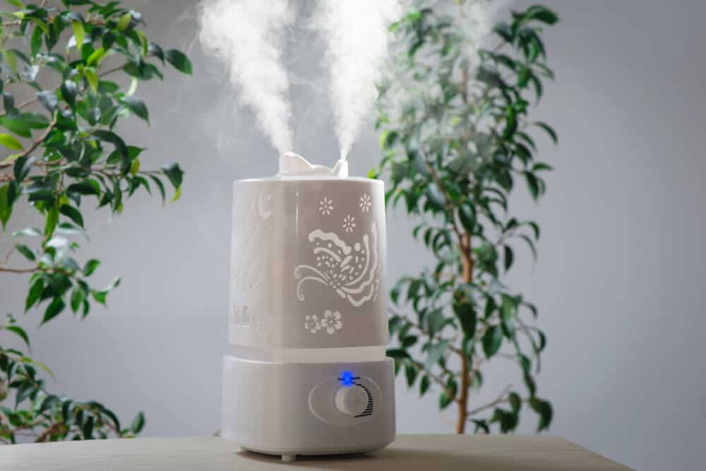 Best Air Humidifiers