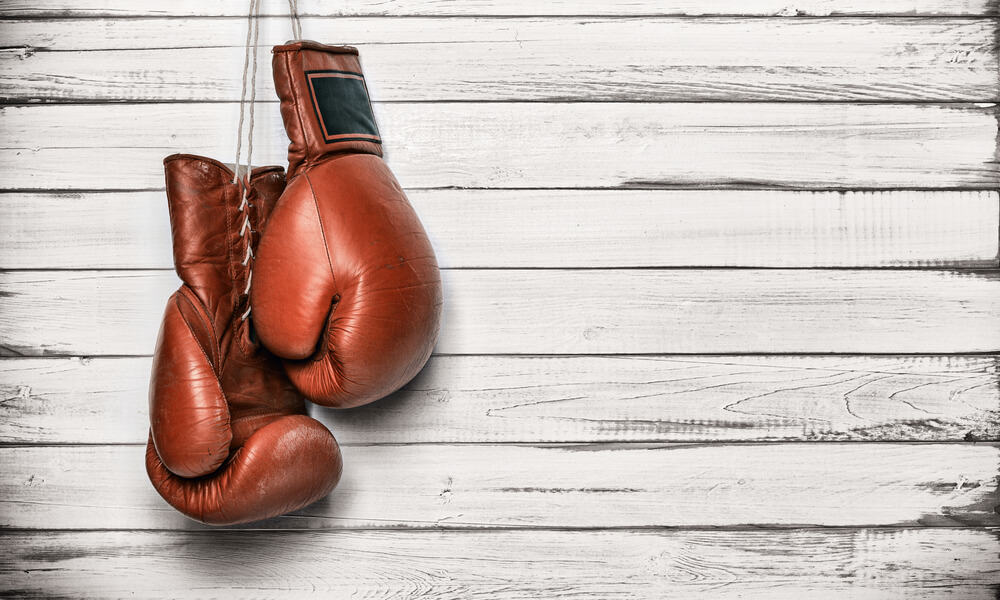 best boxing gloves