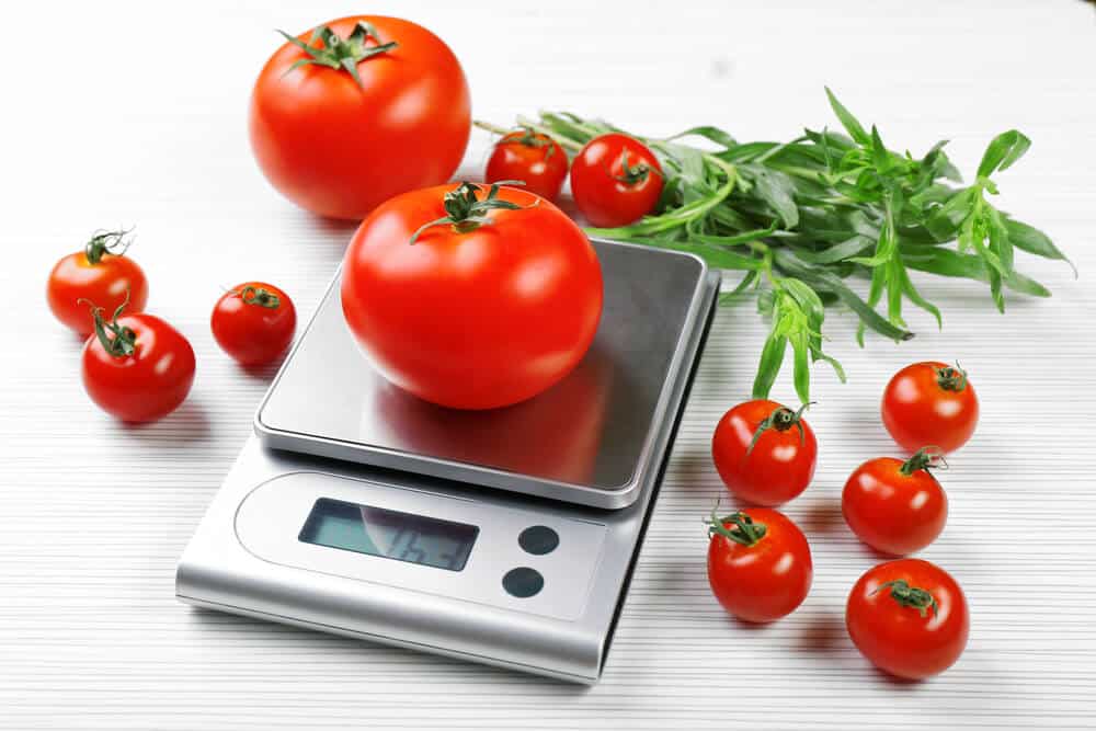 best digtial kitchen scales