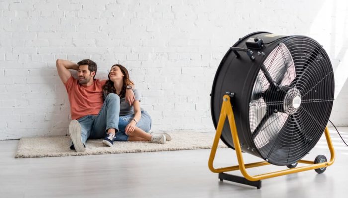 best pedestal fan