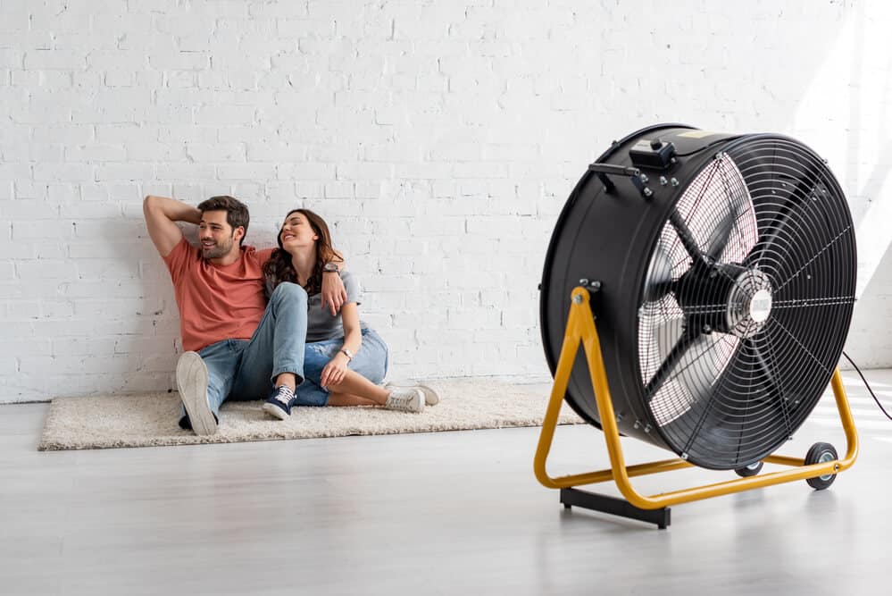 best pedestal fan