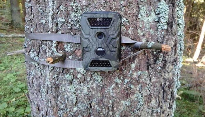 Best Hunting Trail Cameras