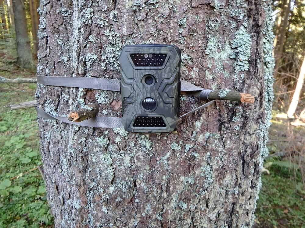 Best Hunting Trail Cameras
