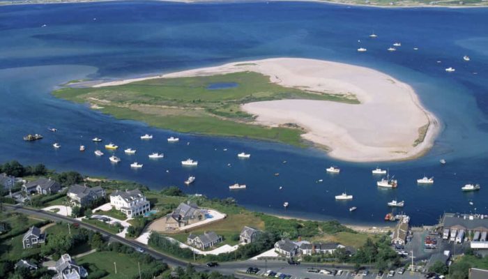 best things to do in chatham islands