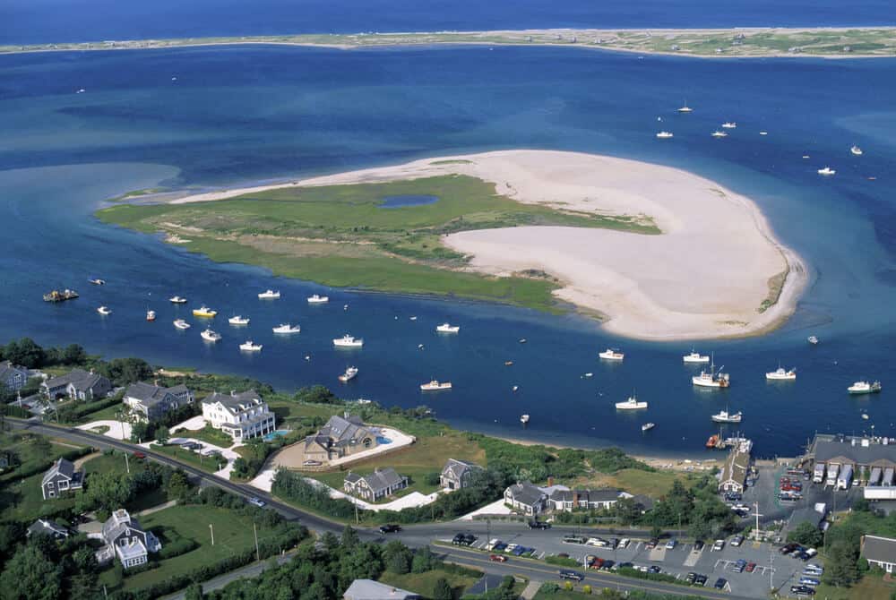best things to do in chatham islands