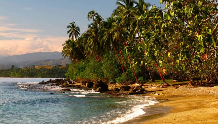 best things to do solomon islands