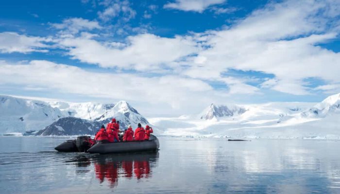best antarctica tours