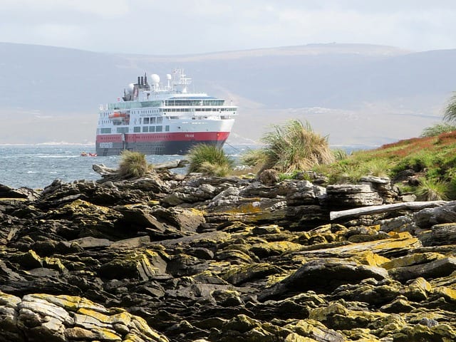 things to do in falklands