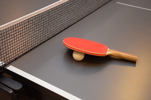 best outdoor table tennis tables