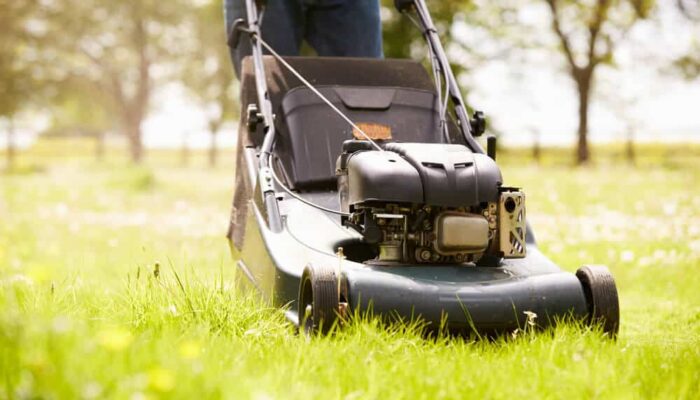 best petrol lawn mowers