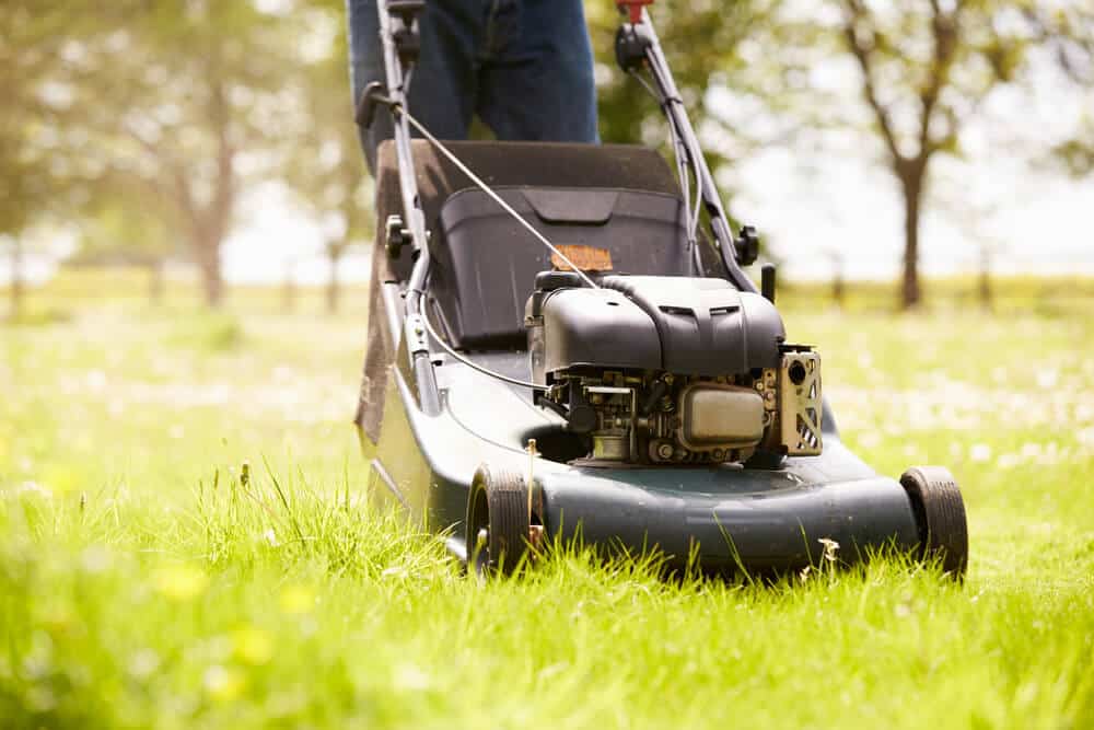 best petrol lawn mowers