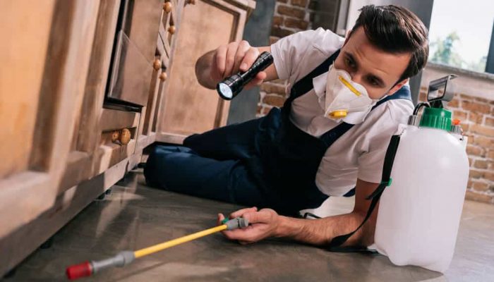 best pest control experts melbourne